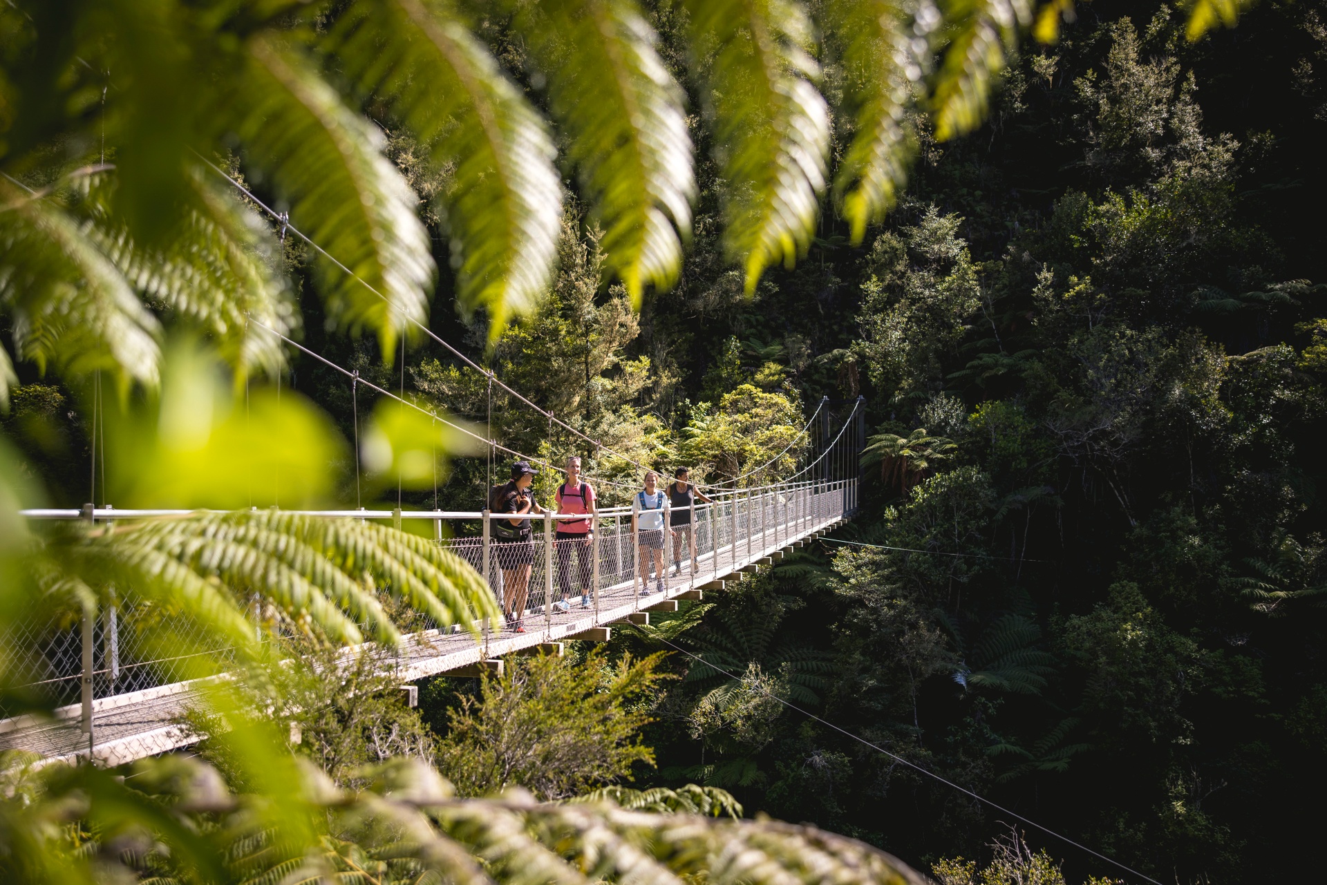 abel-tasman-walking.jpg